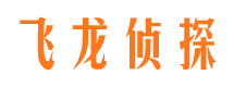 石棉婚外情调查取证